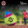 Nivia Cricket Tennis Ball Heavy (Pack of 12) Multicolor - Image 4