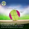 Nivia Cricket Tennis Ball Light (Pack of 12) Multicolor - Image 3