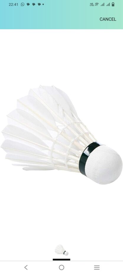 Badminton Shuttle Cocks 10 pcs